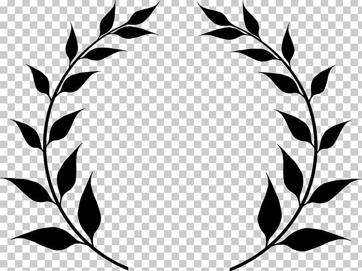 Olive Branch PNG, Clipart, Bay Laurel, Black, Black And White, Branch, Circle Free PNG Download