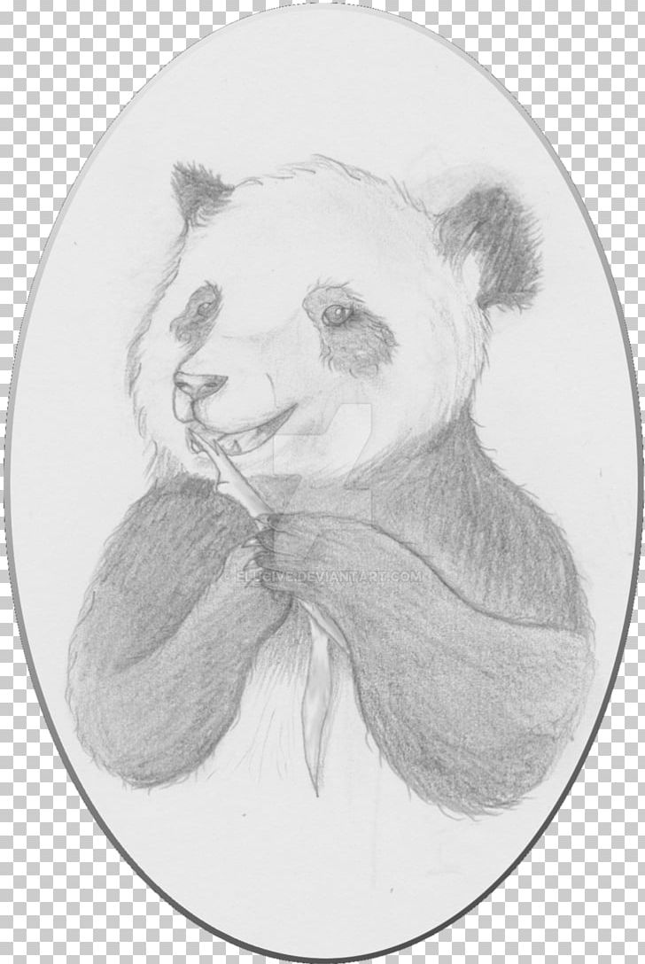 Teddy Bear Snout Whiskers Drawing Sketch PNG, Clipart, Artwork, Bear, Black And White, Carnivoran, Drawing Free PNG Download