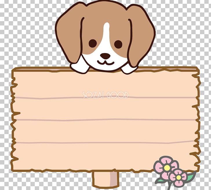 Maltese Dog Bolognese Dog Havanese Dog Border Collie Bichon Frise PNG, Clipart, Animals, Area, Bichon, Bichon Frise, Bolognese Dog Free PNG Download