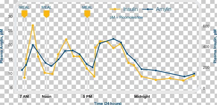 Pramlintide Acetate Amylin Hormone Insulin PNG, Clipart, Acetate, Angle, Area, Brand, Diabetes Mellitus Free PNG Download