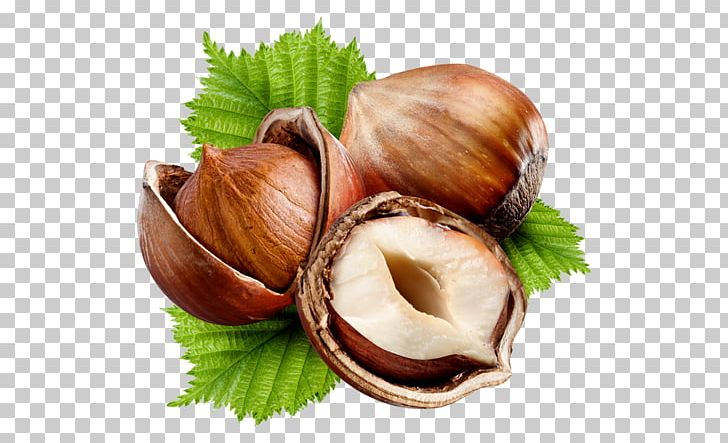 Hazelnut Nuts Common Hazel Fruit PNG, Clipart, Almond, Brazil Nut, Chestnut, Child, Clam Free PNG Download