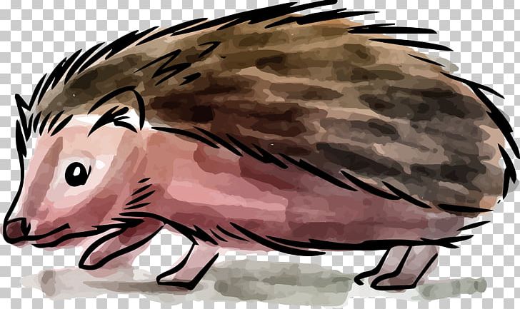 Hedgehog Painting Drawing PNG, Clipart, Animal, Animals, Encapsulated Postscript, Fauna, Feather Free PNG Download