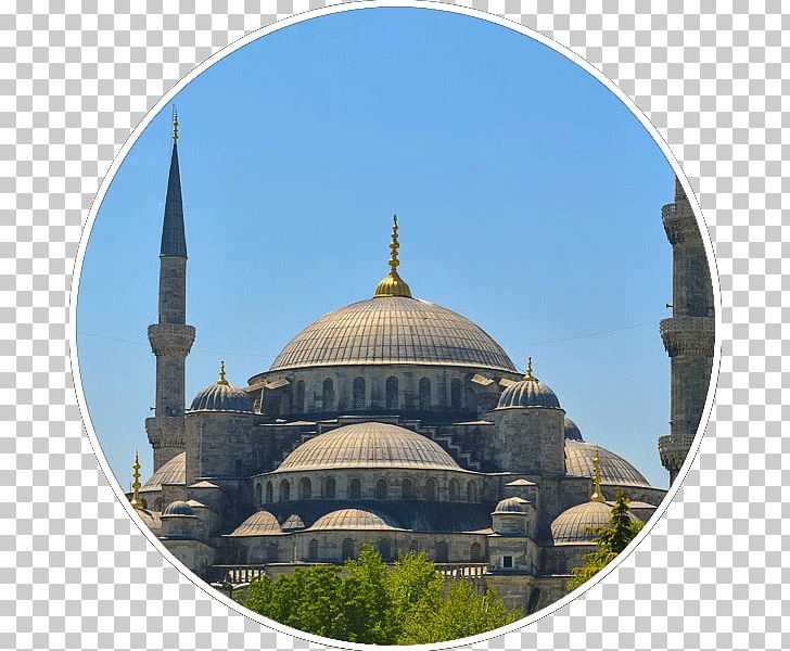 Sultan Ahmed Mosque Bee Tree Flower PNG, Clipart, Animal, Bee, Bild, Bird, Blume Free PNG Download