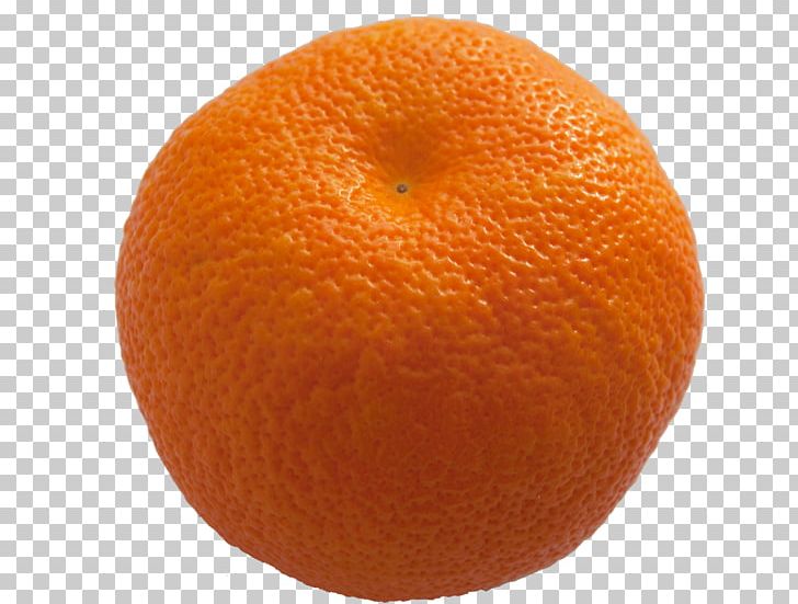 Clementine Mandarin Orange Tangerine Tangelo Blood Orange PNG, Clipart, Acid, Bitter Orange, Blood Orange, Chenpi, Citric Acid Free PNG Download
