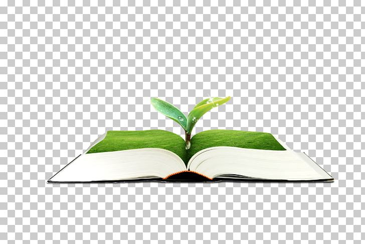 Leaf PNG, Clipart, Background Green, Book, Books, Green, Green Apple Free PNG Download