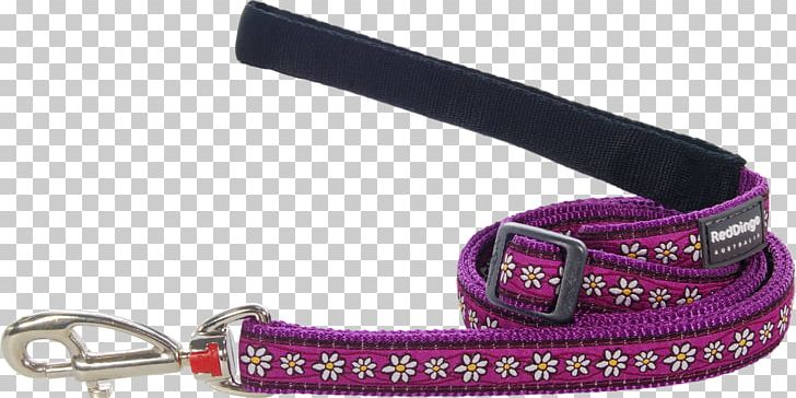 Leash Dingo Dog Collar PNG, Clipart, Chain, Collar, Daisy Chain, Dingo, Dog Free PNG Download