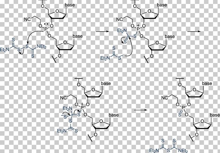 Oligonucleotide Synthesis Phosphoramidite Phosphonate DNA PNG, Clipart, Angle, Antisense Therapy, Area, Black And White, Diagram Free PNG Download