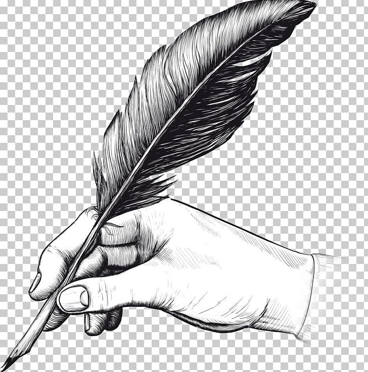Quill Fountain Pen Drawing Writing PNG, Clipart, Animals, Bird, Black And White, Drawing, Feather Free PNG Download
