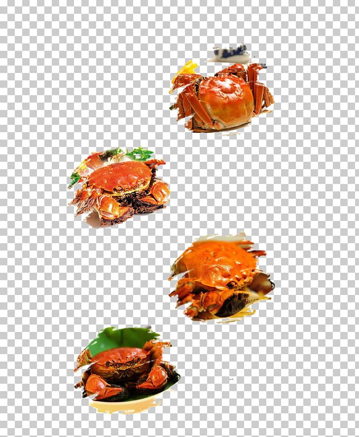 Seafood Lobster Crab Cracker Garnish PNG, Clipart, Alloy, Animals, Animal Source Foods, Cartoon Crab, Crab Free PNG Download