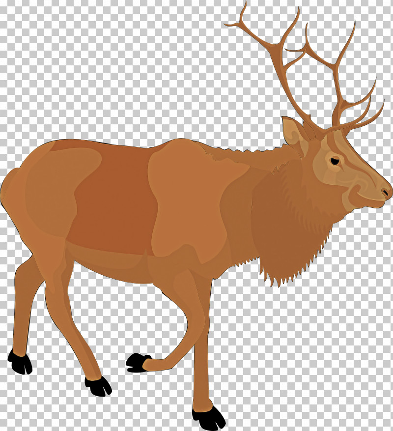 Reindeer PNG, Clipart, Antelope, Antler, Deer, Elk, Reindeer Free PNG Download