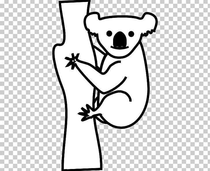 Koala Giant Panda Bear Cuteness PNG, Clipart, Artwork, Bear, Black And White, Carnivoran, Cuteness Free PNG Download
