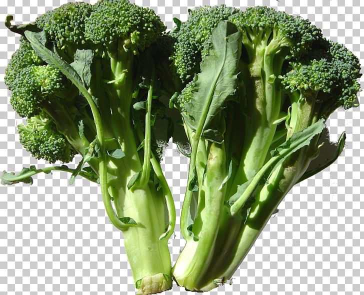 Romanesco Broccoli Cabbage Cauliflower Kohlrabi PNG, Clipart, Brassica Oleracea, Broccoli, Cabbage, Cabbage Family, Cauliflower Free PNG Download