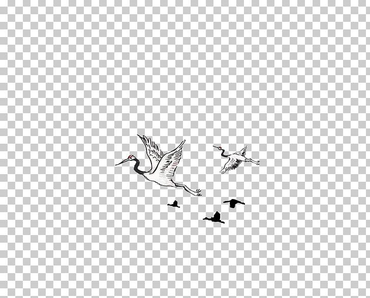 Cygnini Red-crowned Crane PNG, Clipart, Animals, Bird, Black, Black And White, Black Swan Free PNG Download