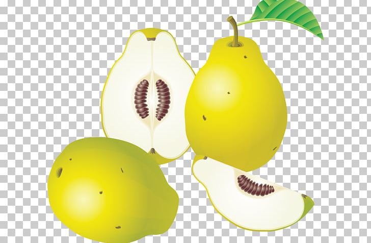 Fruit Blog Computer Icons PNG, Clipart, Armut, Armut Resimleri, Auglis, Blog, Computer Icons Free PNG Download