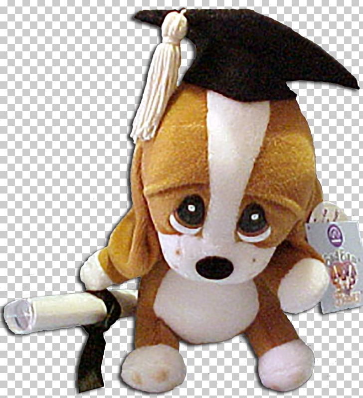 Dog Breed Basset Hound Plush Stuffed Animals & Cuddly Toys Graduation Ceremony PNG, Clipart, Animals, Basset Hound, Cap, Carnivoran, Diploma Free PNG Download