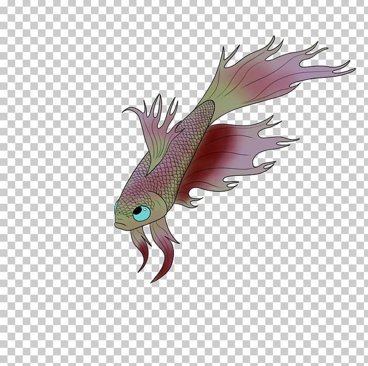 Fish Seafood Fauna Organism Tail PNG, Clipart, Animals, Betta, Fauna, Fish, Organism Free PNG Download