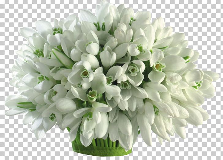 Flower Bouquet Cut Flowers Bulb Galanthus Nivalis PNG, Clipart, Artificial Flower, Bulb, Crocus, Cut Flowers, Desktop Wallpaper Free PNG Download