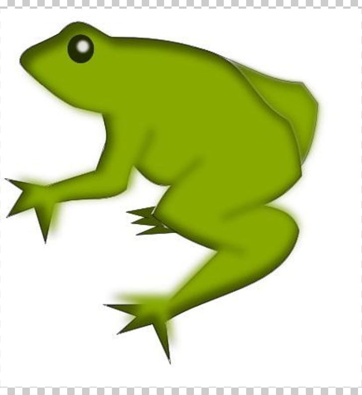 Frog PNG, Clipart, Amphibian, Download, Drawing, Fauna, Free Content Free PNG Download