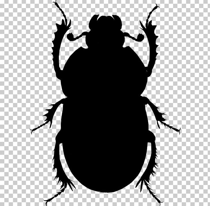 Volkswagen Beetle Scarab PNG, Clipart, Animals, Beetle, Black And White, Cicada, Computer Icons Free PNG Download