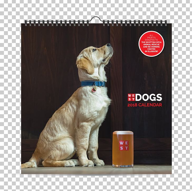 WEST Beer Puppy Retriever Glasgow PNG, Clipart, 2018 Calendar, Animal Rescue Group, Beer, Border Terrier, Breed Free PNG Download