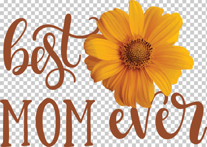 Mothers Day Best Mom Ever Mothers Day Quote PNG, Clipart, Best Mom Ever, Cut Flowers, Gift, Mothers Day, Poster Free PNG Download