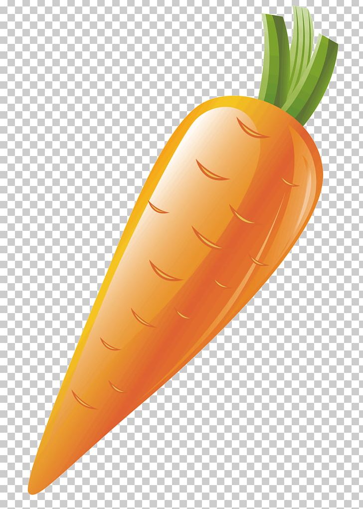 Carrot Vegetable PNG, Clipart, Bunch Of Carrots, Carrot Cartoon, Carrot Juice, Carrots, Cartoon Free PNG Download