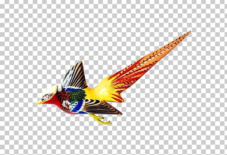 Feather Beak Fish PNG, Clipart, Animals, Beak, Feather, Fish, Wing Free PNG Download