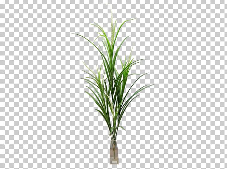 Grasses Artificial Flower Fern Tree Plant Stem PNG, Clipart,  Free PNG Download