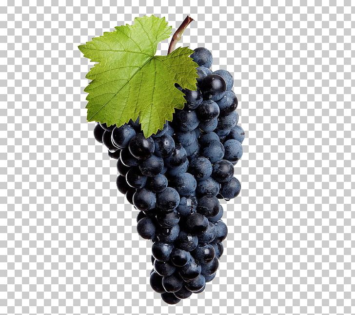 Common Grape Vine Wine Juice Grape Seed Extract PNG, Clipart, Berry, Bilberry, Common Grape Vine, Flowering Plant, Food Free PNG Download
