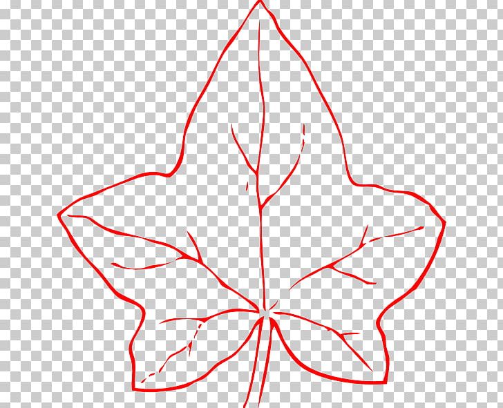 Common Ivy Leaf PNG, Clipart, Angle, Area, Artwork, Color, Common Ivy Free PNG Download