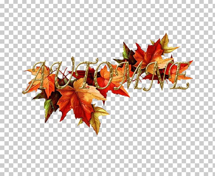 Drawing Portable Network Graphics Autumn PNG, Clipart, Autumn, Autumn Leaf Color, Coloring Book, Drawing, Leaf Free PNG Download