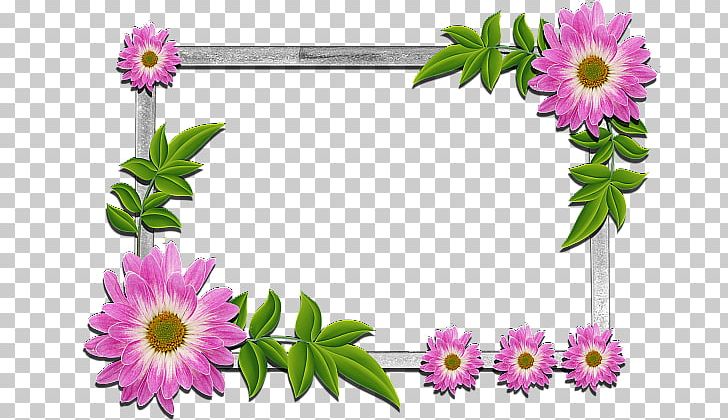 Frames Flower PNG, Clipart, Annual Plant, Aster, Chrysanths, Cut Flowers, Daisy Free PNG Download