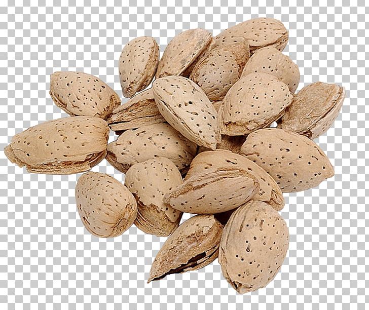 Almond Meal Nut Dried Fruit Food PNG, Clipart, Almond, Almond Meal, Commodity, Dried Fruit, Drupe Free PNG Download