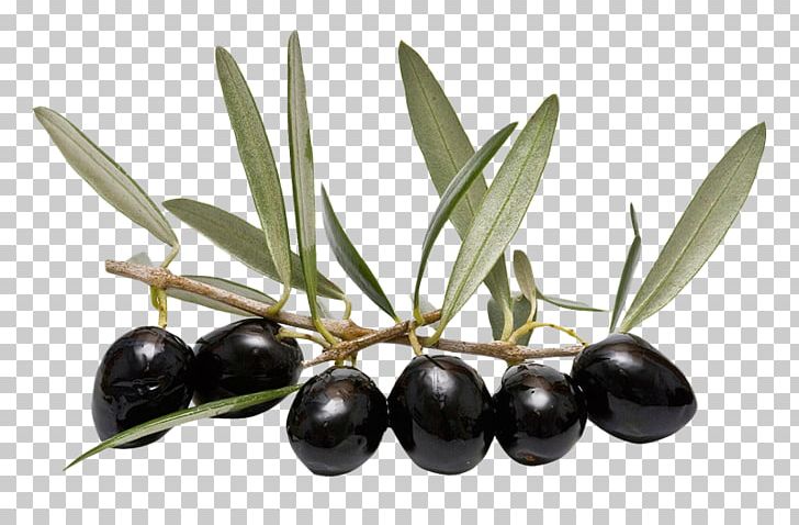 Olive Leaf Olive Oil PNG, Clipart, Desktop Wallpaper, Display Resolution, Download, Food, Food Drinks Free PNG Download