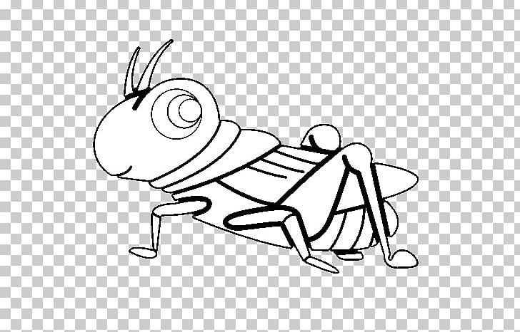 The Ant And The Grasshopper Insect Coloring Book Drawing PNG, Clipart, Adult, Angle, Ant, Ant And The Grasshopper, Area Free PNG Download