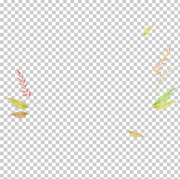 Yellow Petal Angle Pattern PNG, Clipart, Angle, Autumn Leaves, Banana Leaves, Fall Leaves, Leaves Free PNG Download