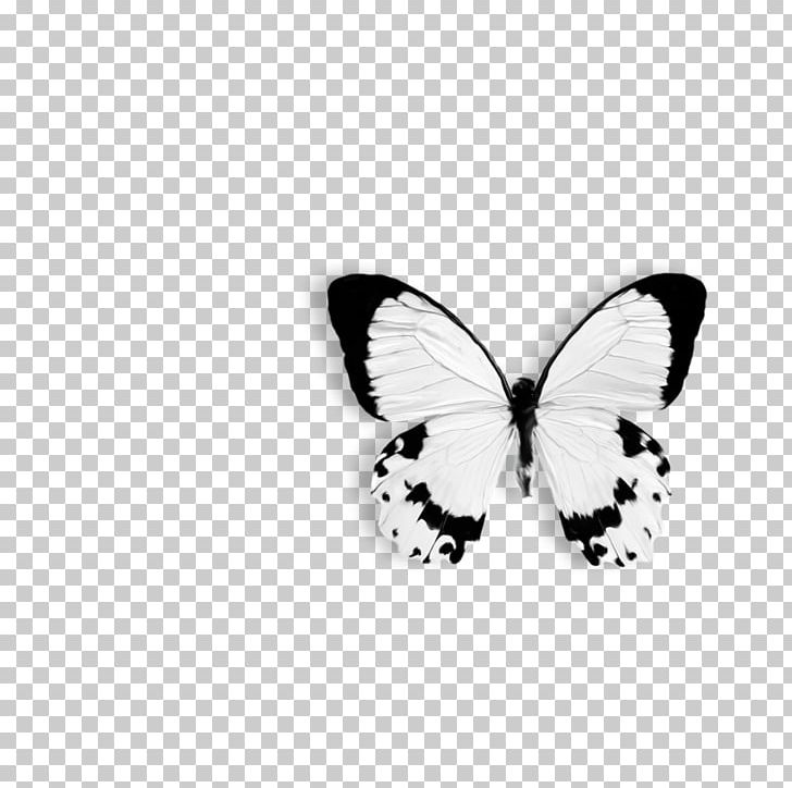 Butterfly Papilio Dardanus Drawing Black And White PNG, Clipart, Animal, Arthropod, Black Butterfly, Brush Footed Butterfly, Butterflies And Moths Free PNG Download