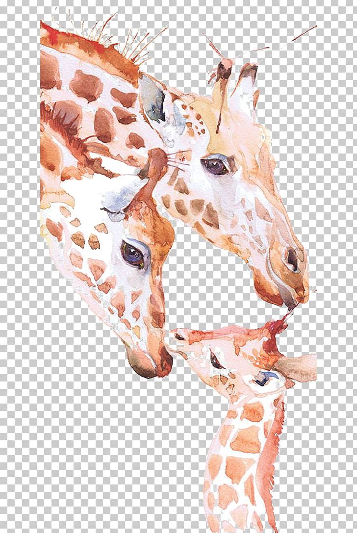 Giraffe Watercolor Painting Drawing Printmaking PNG, Clipart, Animal, Animals, Art, Cartoon, Cartoon Giraffe Free PNG Download