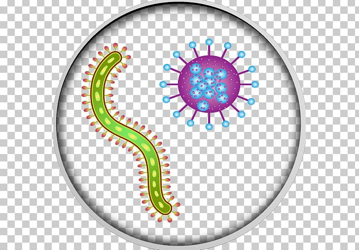 Microbiology Bacteria PNG, Clipart, Area, Bacteria, Bacteriology, Biology, Circle Free PNG Download