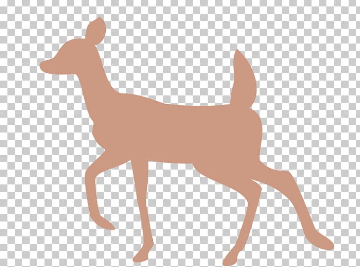 White-tailed Deer Reindeer Moose Silhouette PNG, Clipart, Animal Figure, Animals, Antler, Art, Carnivoran Free PNG Download