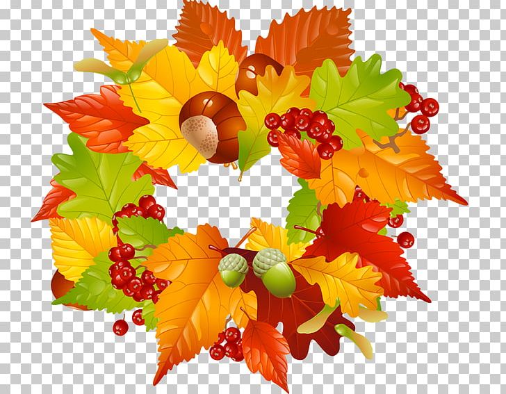 Autumn Leaf PNG, Clipart, Autumn, Autumn Leaf Color, Chrysanths, Cut Flowers, Euclidean Vector Free PNG Download