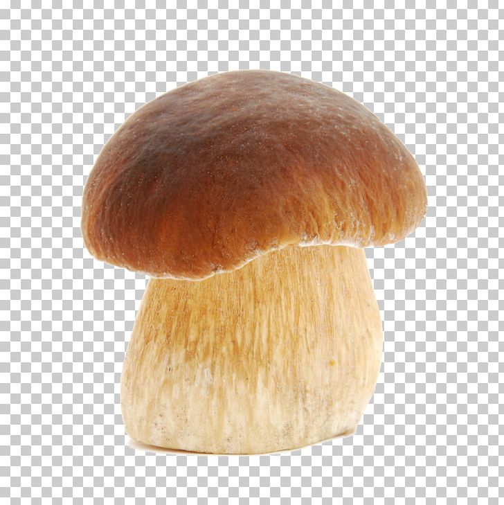 Boletus Edulis Boletus Pinophilus Fungus Mushroom Pileus PNG, Clipart, Aspen Mushroom, Boletus, Boletus Edulis, Boletus Pinophilus, Brown Cap Boletus Free PNG Download