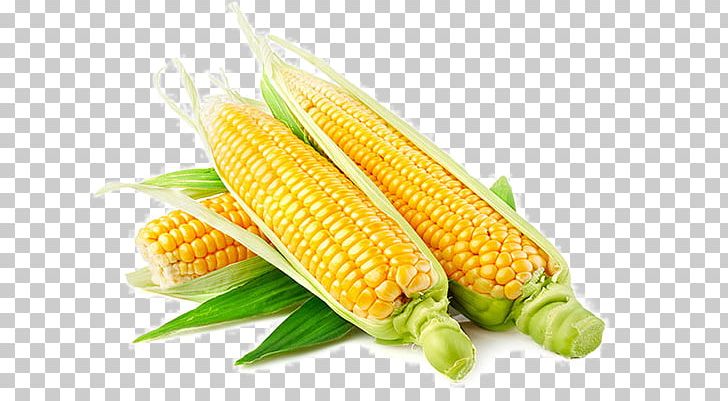 Genetically Modified Food Genetically Modified Organism Genetic Engineering Genetics PNG, Clipart, Agriculture, Biology, Commodity, Corn, Corn Cob Free PNG Download