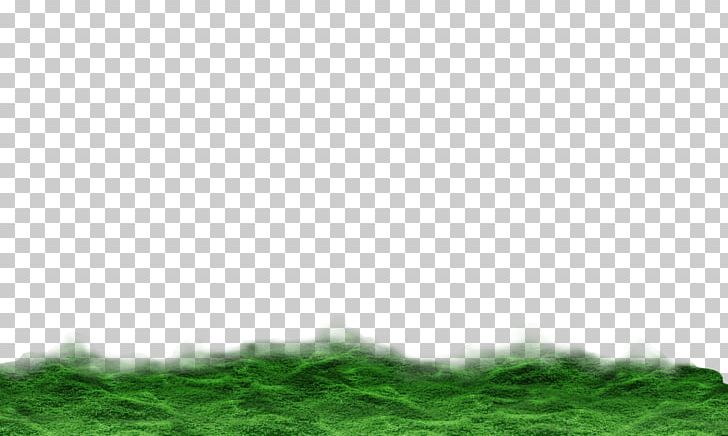 Lawn Grassland Grasses Tree Sky Plc PNG, Clipart, Digital Marketing, Example, Family, Grass, Grasses Free PNG Download