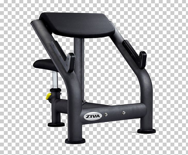 Bench Physical Fitness Fitness Centre Weight Training Strength Training PNG, Clipart, Bench, Chair, Exercise Equipment, Exercise Machine, Fitness Centre Free PNG Download