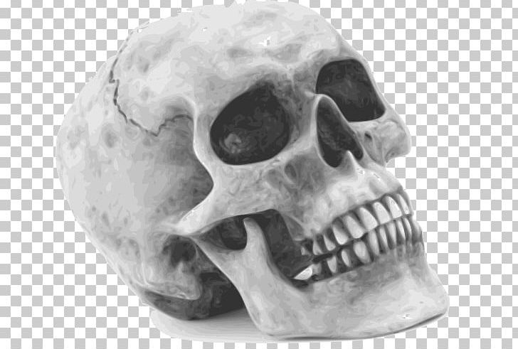 Human Skull Symbolism Human Skeleton PNG, Clipart, Black And White, Bone, Clip Art, Halloween, Halloween Film Series Free PNG Download