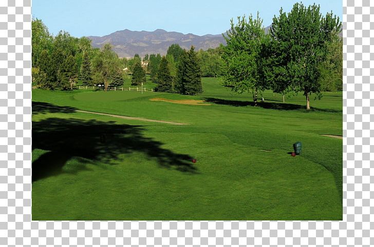Indian Tree Golf Club Golf Course Golf Clubs The US Open (Golf) Pitch And Putt PNG, Clipart, Golf, Golf Club, Golf Clubs, Golf Course, Golf Equipment Free PNG Download