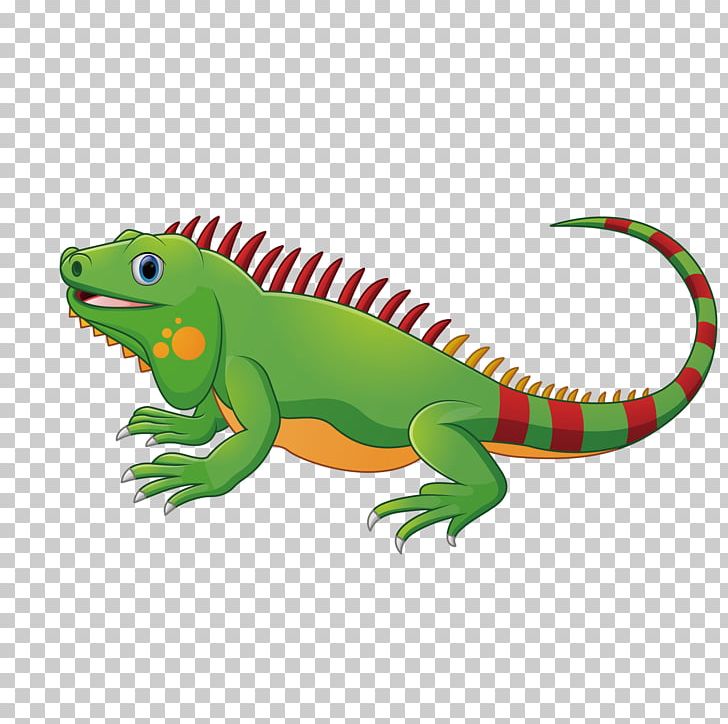 Lizard Chameleons Green Iguana Reptile PNG, Clipart, Amphibian, Animal, Animals, Background Green, Cartoon Free PNG Download