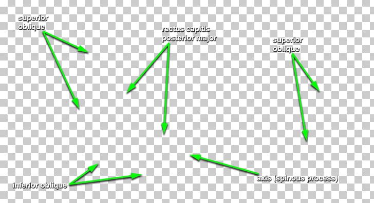 Diagram Line Green PNG, Clipart, Angle, Diagram, Grass, Green, Line Free PNG Download