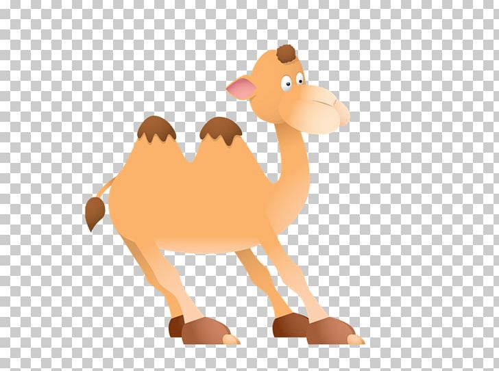 Dromedary Riddle Game Guessing Language PNG, Clipart, Animal, Animal Figure, Antwoord, Arabian Camel, Camel Free PNG Download